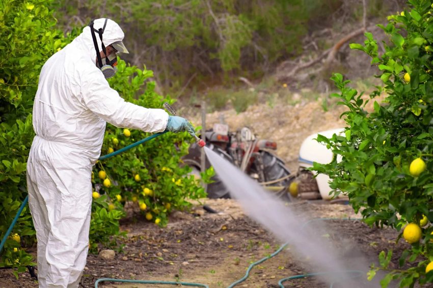 Man spraying pesticide on crops
