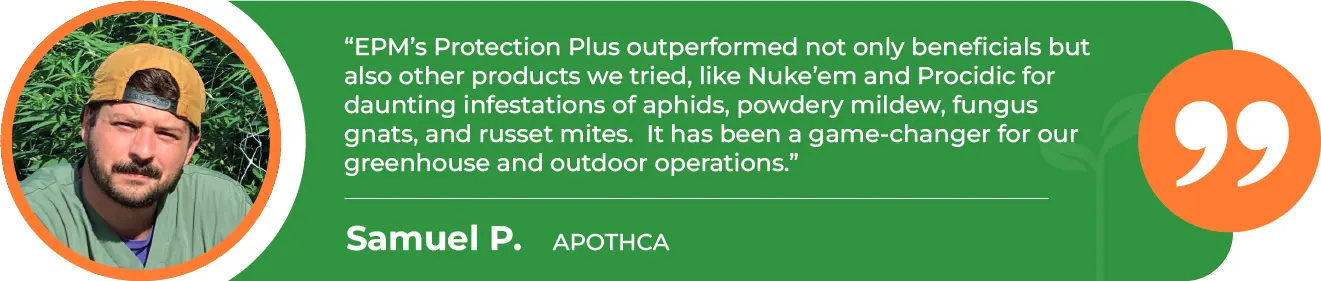 PRP-Greenhouse-Apothca-