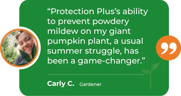 PRP-M-Powdery-Mildew-Conrad