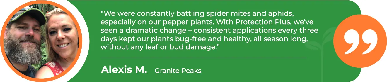 PRP-Pepper-Plants-Granite-Peaks-