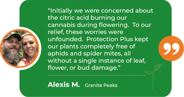 PRP-M-Cannabis-Flower-Granite-Peaks