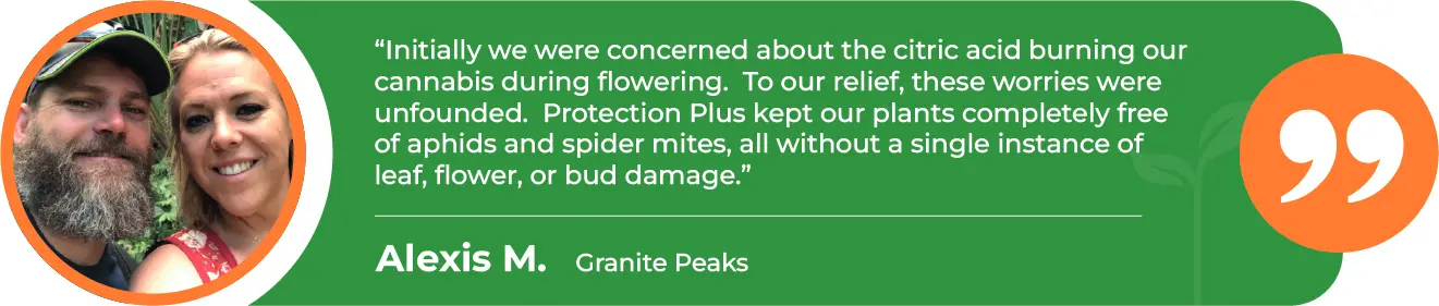 PRP-Cannabis-Flower-Granite-Peaks