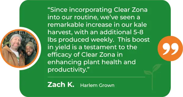 CZA-M-Increase-Yield-Harlem-Grown