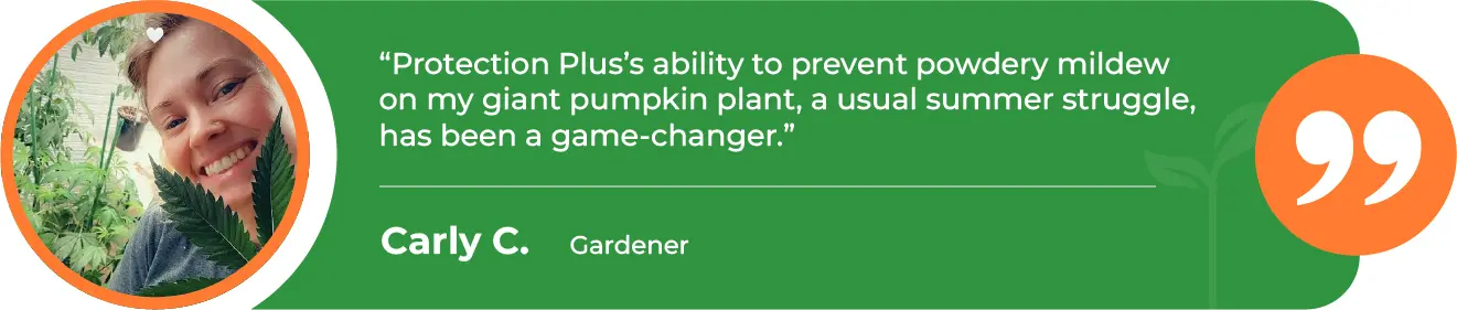 PRP-Powdery-Mildew-Conrad