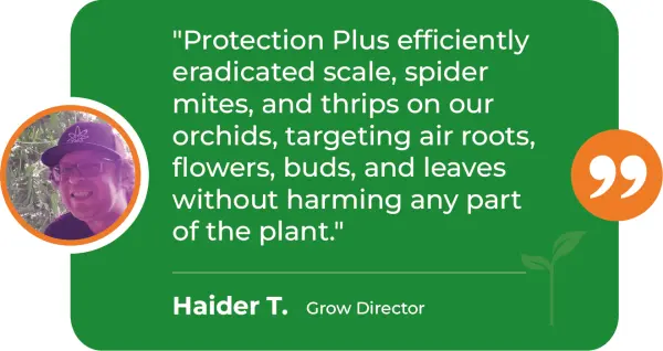 PRP-M-Orchids-Haider