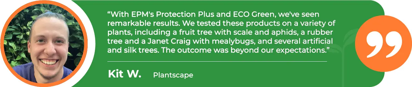 PRP-Mealybugs-Plantscape