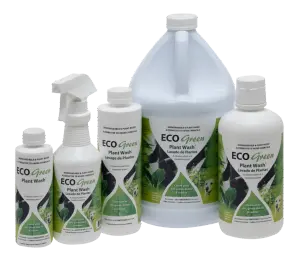 EcoGreen