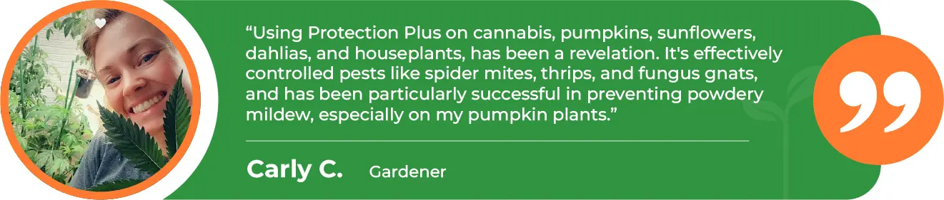 PRP-Houseplants-Conrad