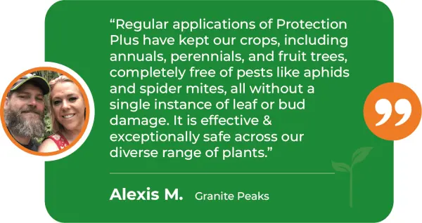 PRP-M-Annuals-Diverse-Plants-Granite-Peaks-