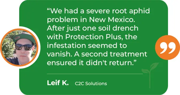 PRP-M-Root-Aphid-C2C