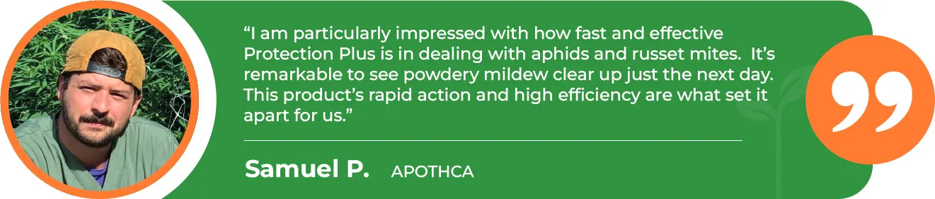 PRP-Powdery-Mildew-Apothca