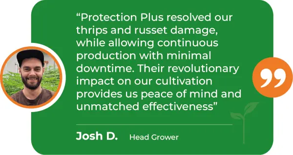 PRP-M-Russet-Mites-Dunigan