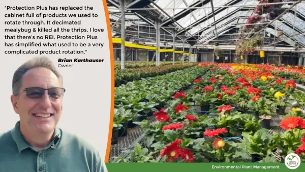 Karthauser