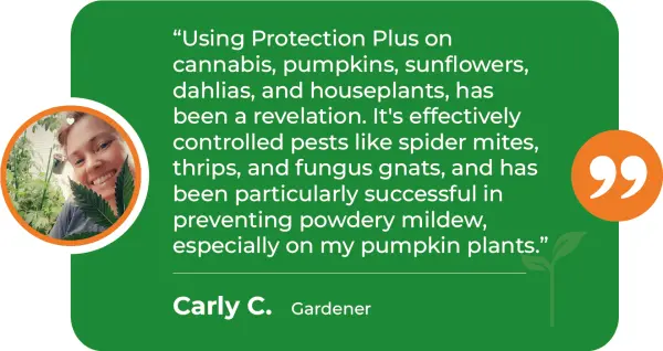 PRP-M-Houseplants-Conrad