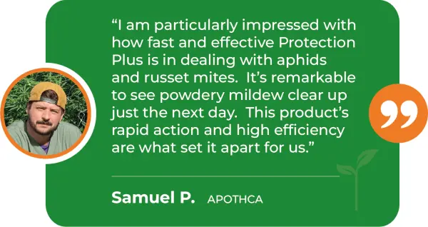 PRP-M-Powdery-Mildew-Apothca
