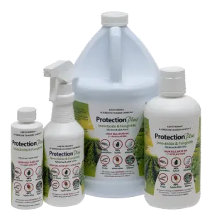 Protection Plus