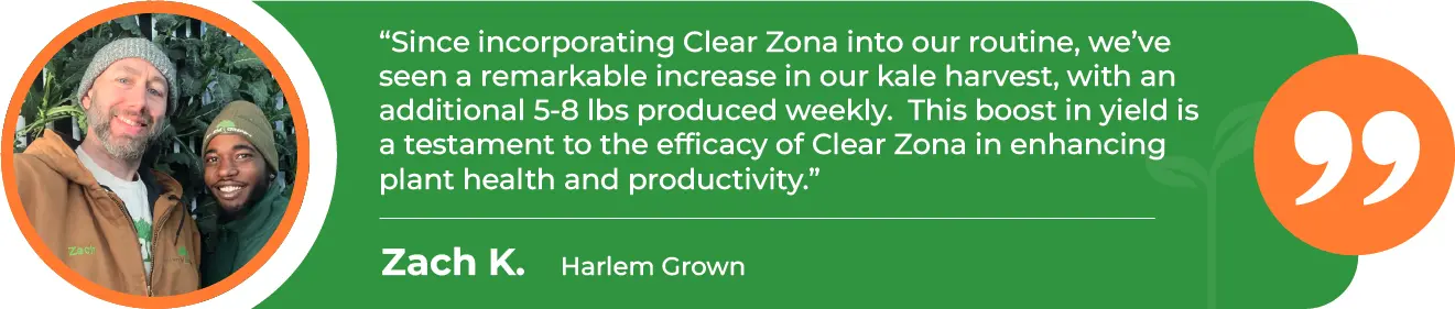 CZA-Increase-Yield-Harlem-Grown