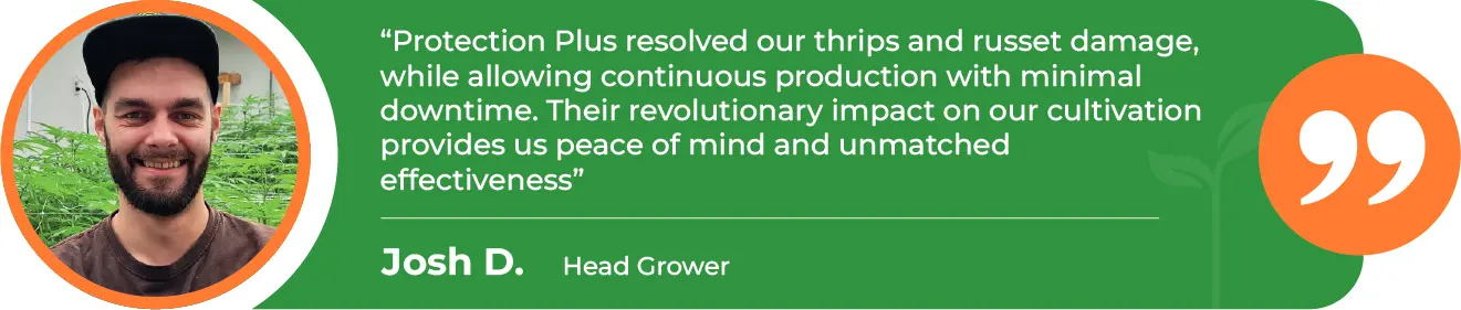 PRP-Russet-Mites-Dunigan